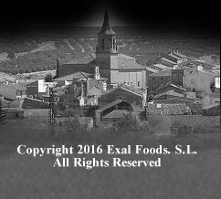 copyright 2009 Exal Foods S.L. 